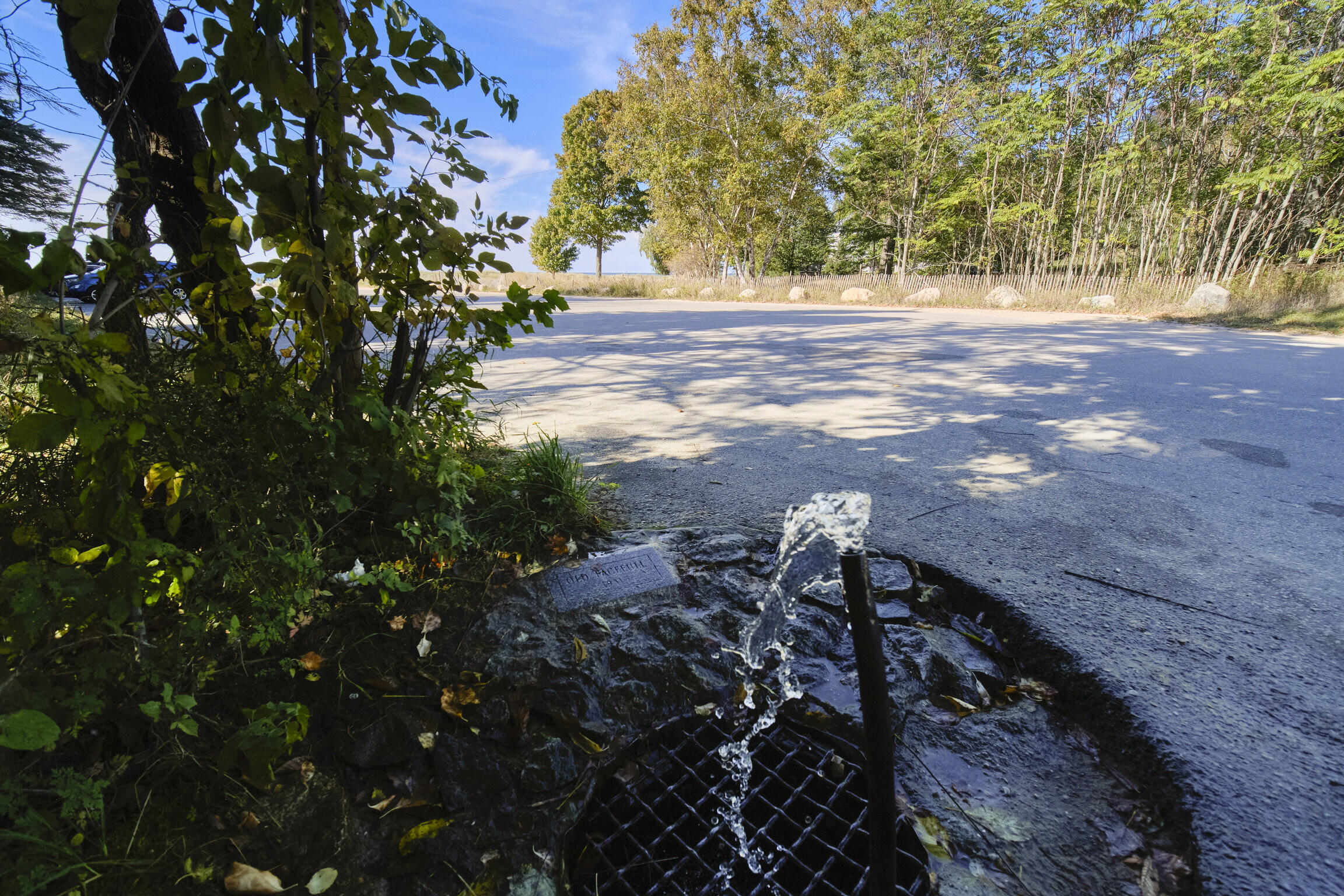 Lakeview Road Bear Lake, MI 49614 - Photo 33 of 33 "Old Faceful" fresh artisan well nearby