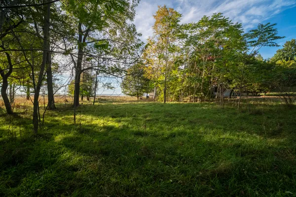 $650,000 | Lakeview Road, Bear Lake, MI 49614