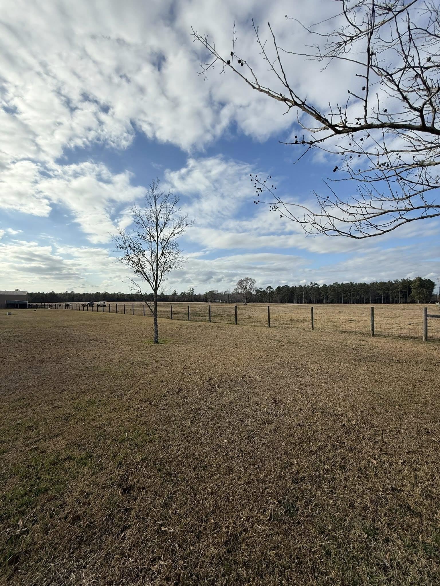62 Rd Buna Tx 77612 Road Buna, TX 77612 - Photo 3 of 5