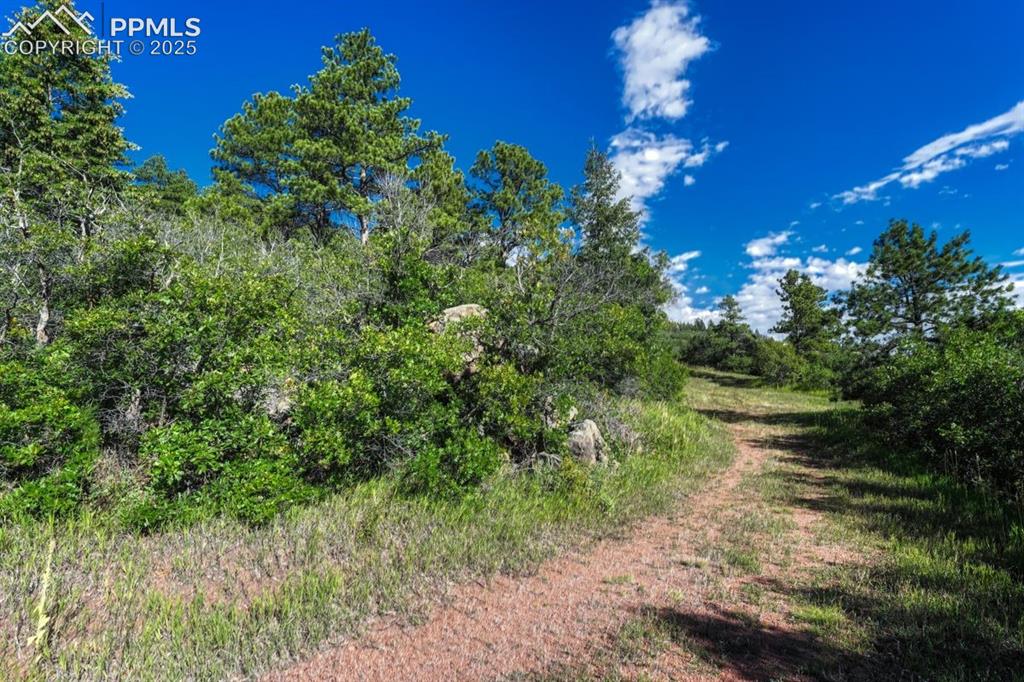0 Columbine Road Larkspur, CO 80118 - Photo 11 of 37