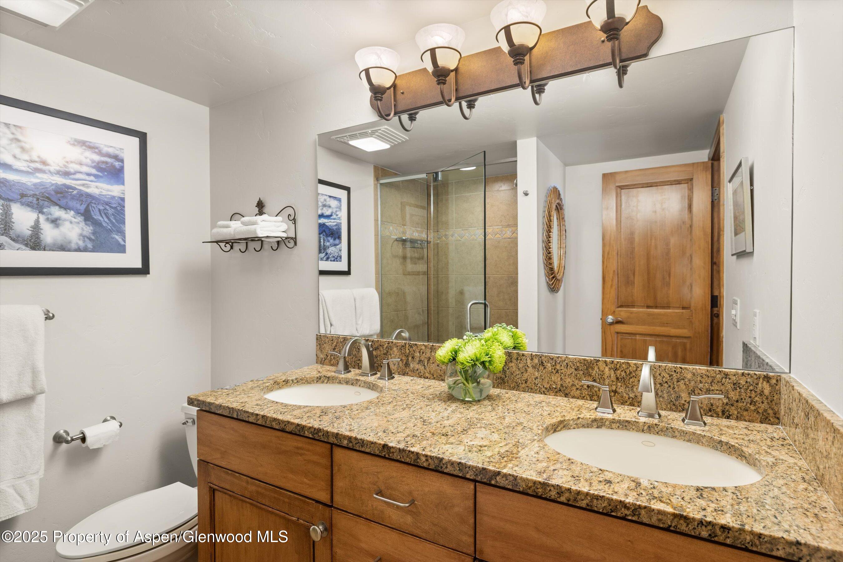 1039 East Cooper Avenue, Unit 21A Aspen, CO 81611 - Photo 15 of 33 09-11-1039ECooperAve_#21a_2505_742