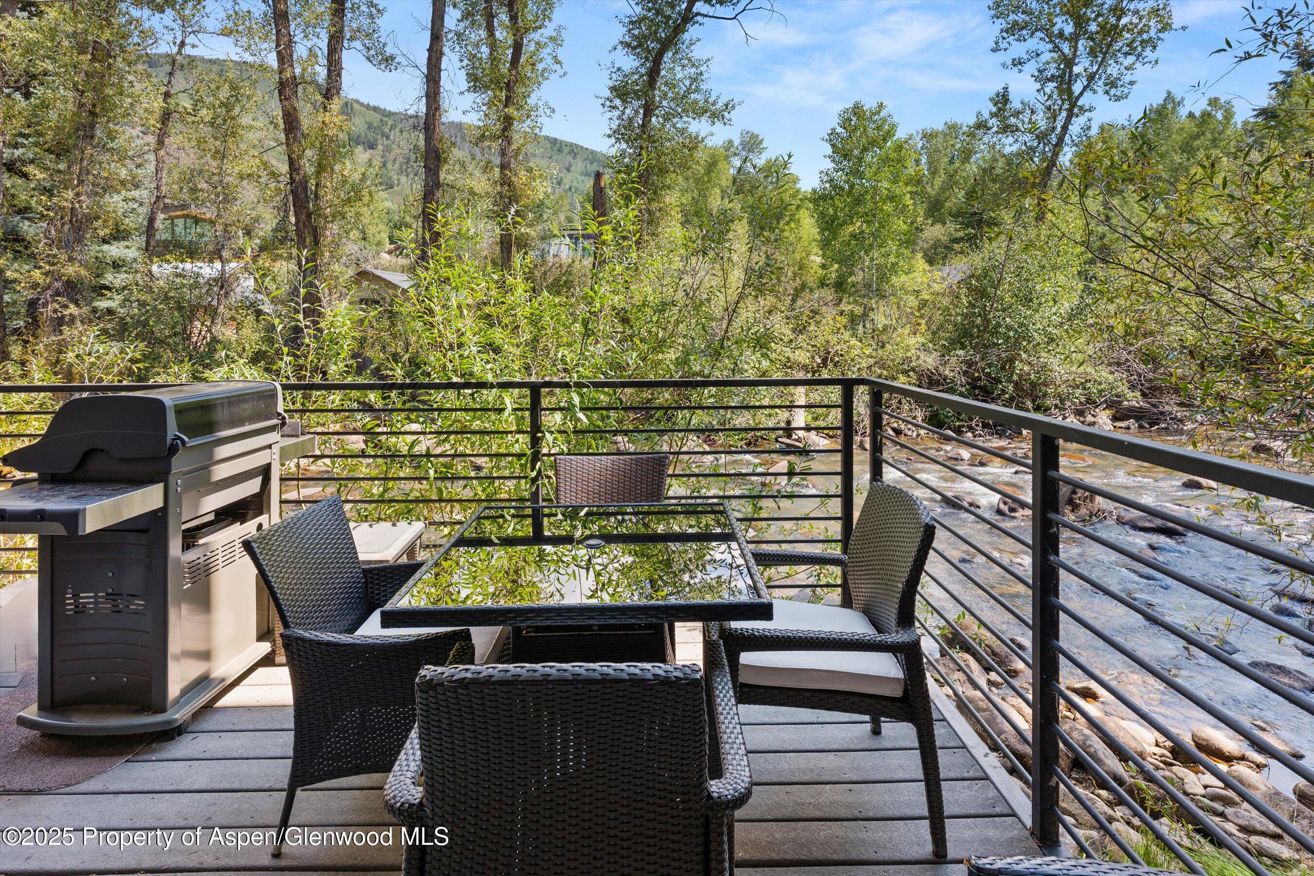 1039 East Cooper Avenue, Unit 21A Aspen, CO 81611 - Photo 28 of 33 02-1039eCooper21_25090302