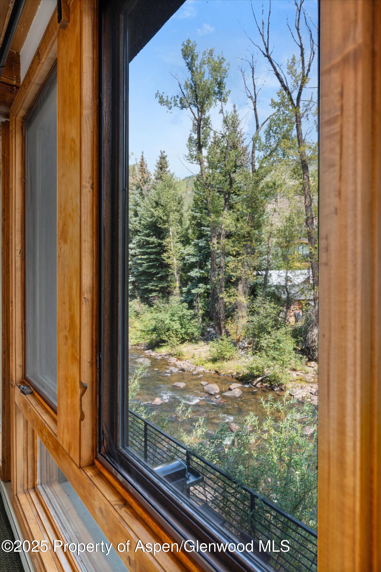 1039 East Cooper Avenue, Unit 21A Aspen, CO 81611 - Photo 31 of 33 11-1039eCooper21_25090311