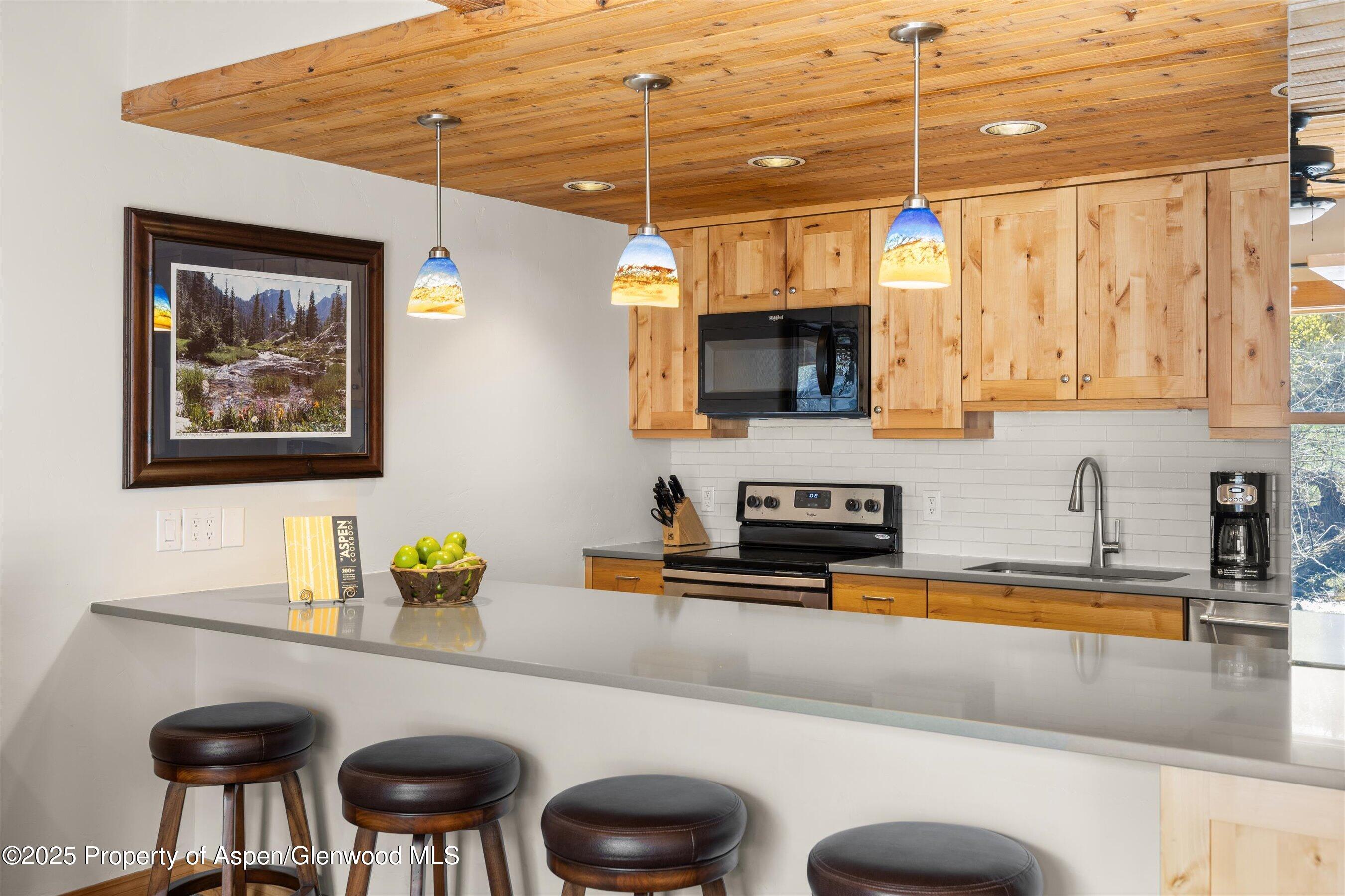 1039 East Cooper Avenue, Unit 21A Aspen, CO 81611 - Photo 9 of 33 25-04-1039ECooperAve_#21a_2505_743