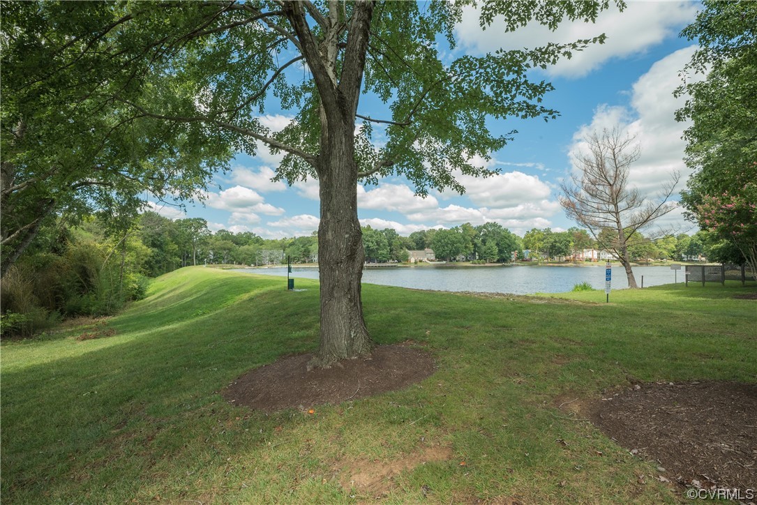 2675 Chancer Drive Henrico, VA 23233 - Photo 48 of 49 a view of a garden with a tree