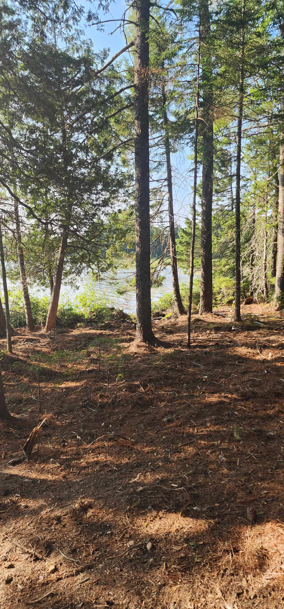 6 Wilderness Way Wesley, ME 04686 - Photo 23 of 26