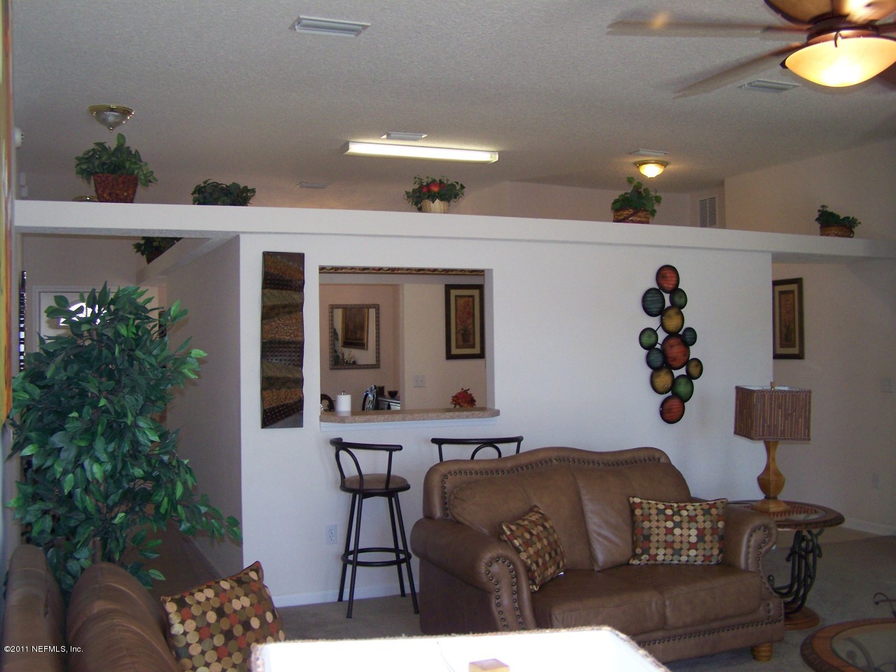 3704 Star Leaf Road West Jacksonville, FL 32210 - Photo 6 of 16 Plant Ledge