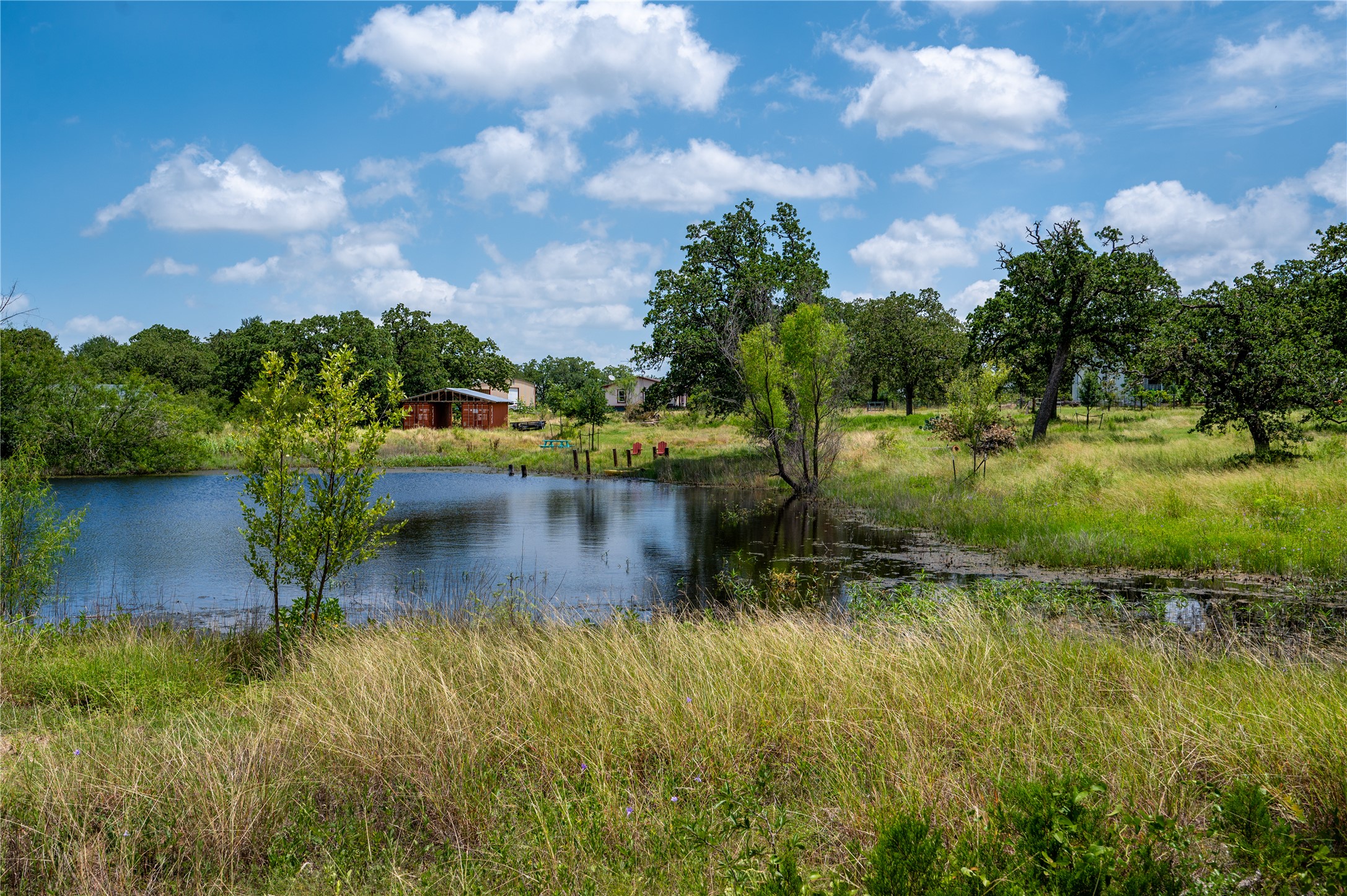 270 Dry Creek Road Manor, TX 78653 - Photo 38 of 40 A tranquil pond offers serene views amidst lush greenery, featuring a rustic barn nearby.