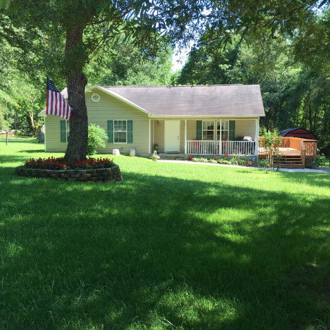 Main View
