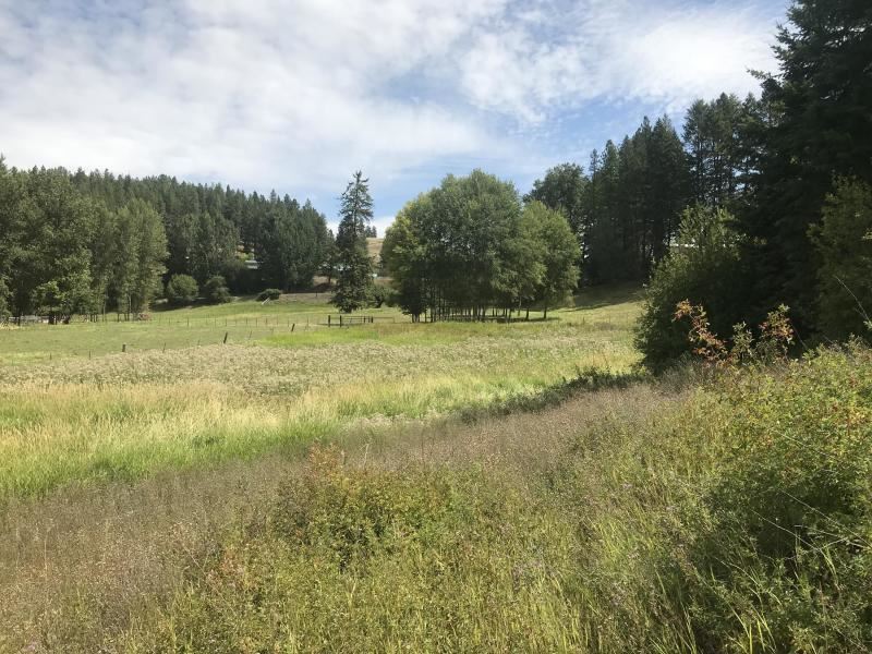 623 State Rte 20 Colville, WA 99114 - Photo 17 of 20