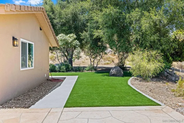 a view of a backyard with large trees