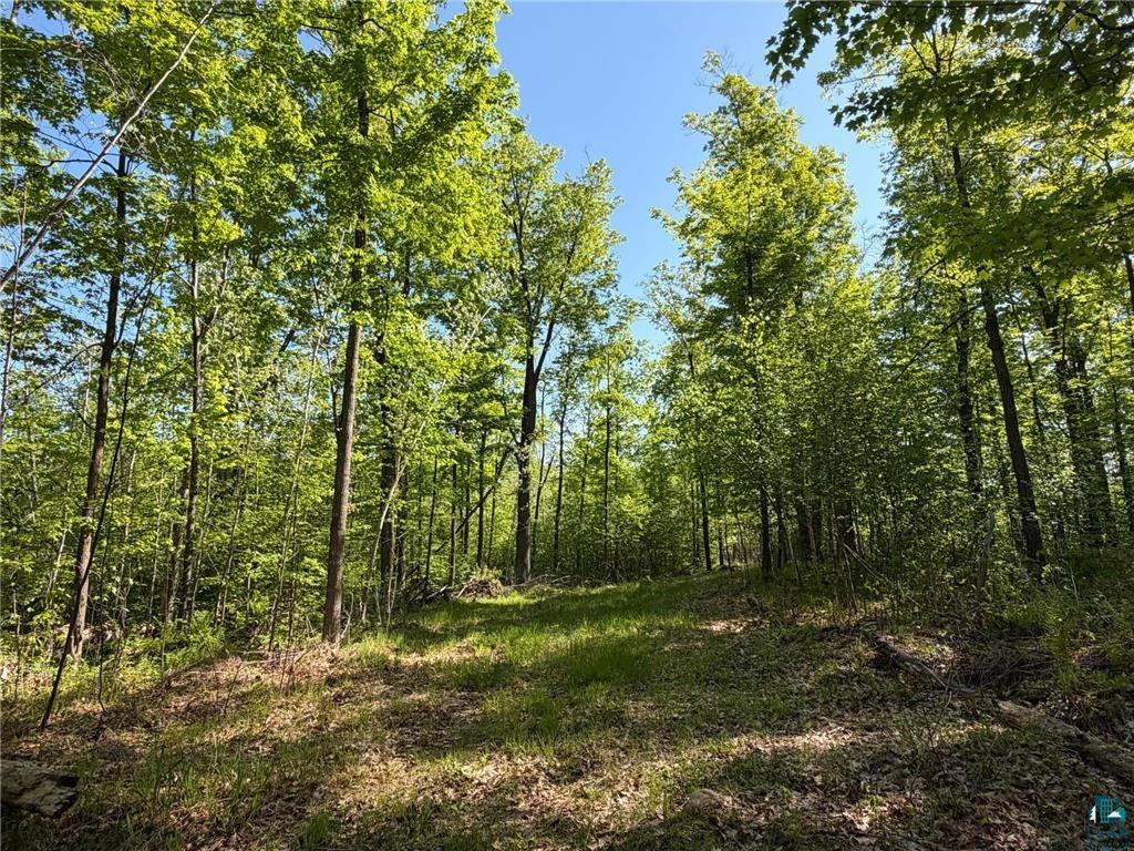 54003 Dollar Lake Road Sandstone, MN 55072 - Photo 24 of 40