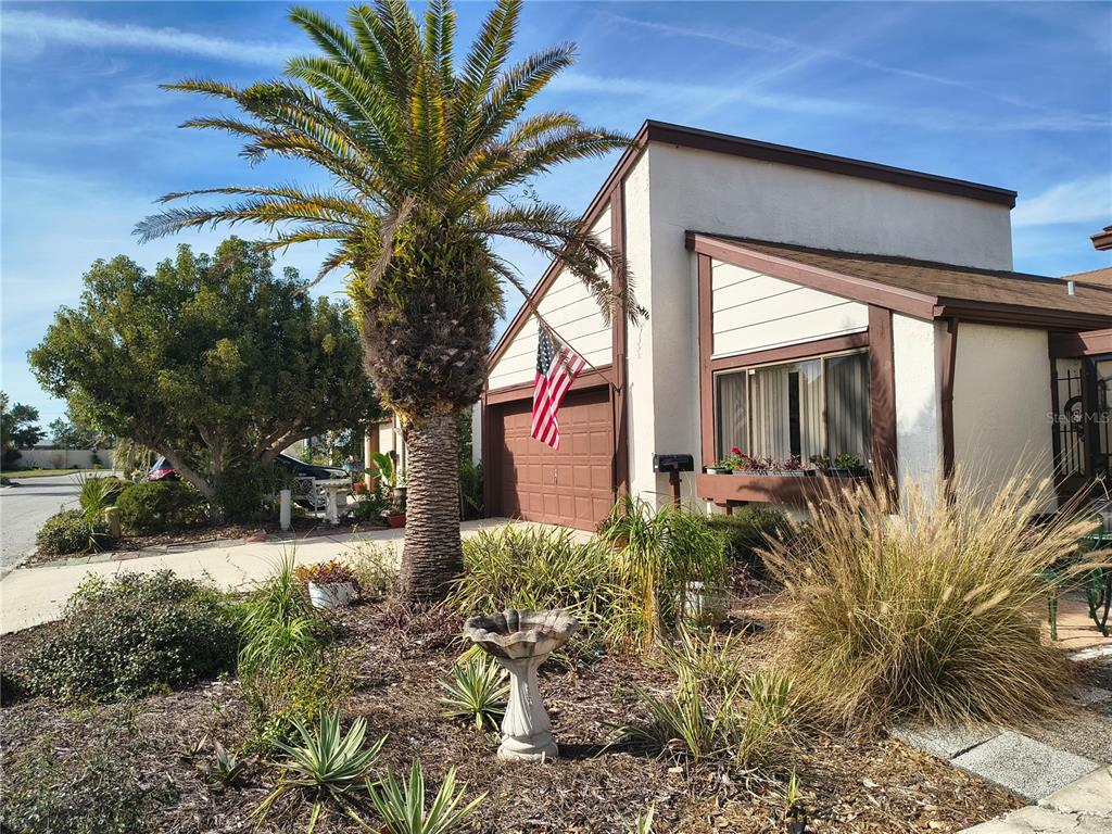 7519 Clanton Trail Hudson, FL 34667 - Photo 53 of 83 a house that has a tree in front of the house