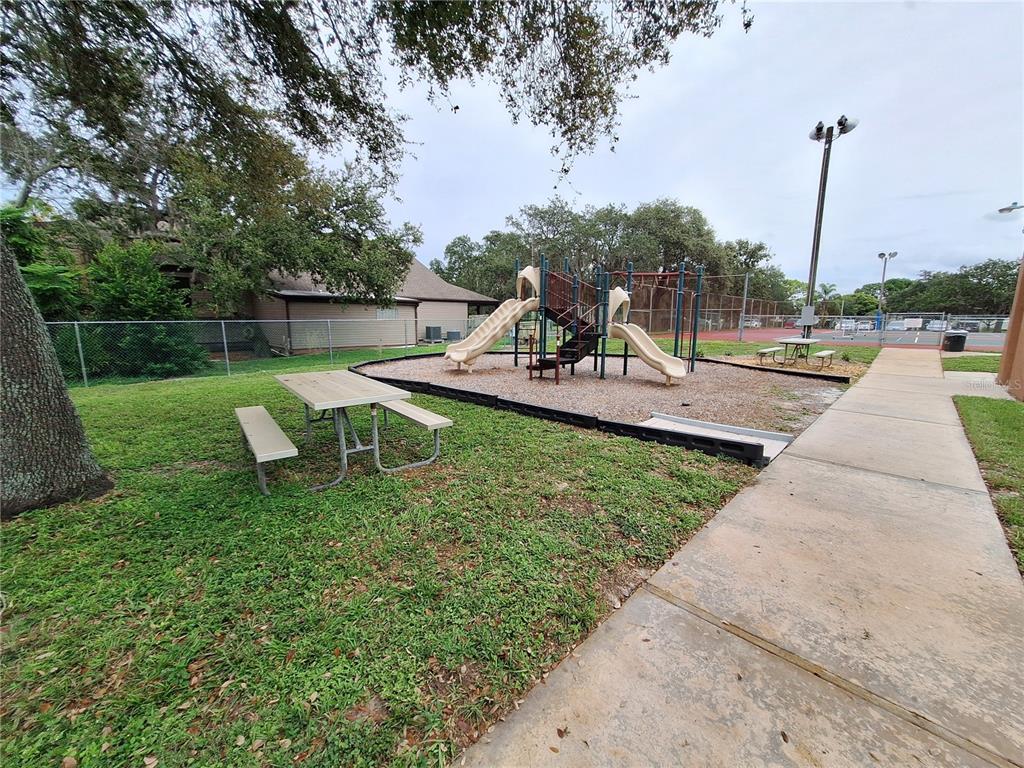 7519 Clanton Trail Hudson, FL 34667 - Photo 73 of 83 a view of a garden with plants