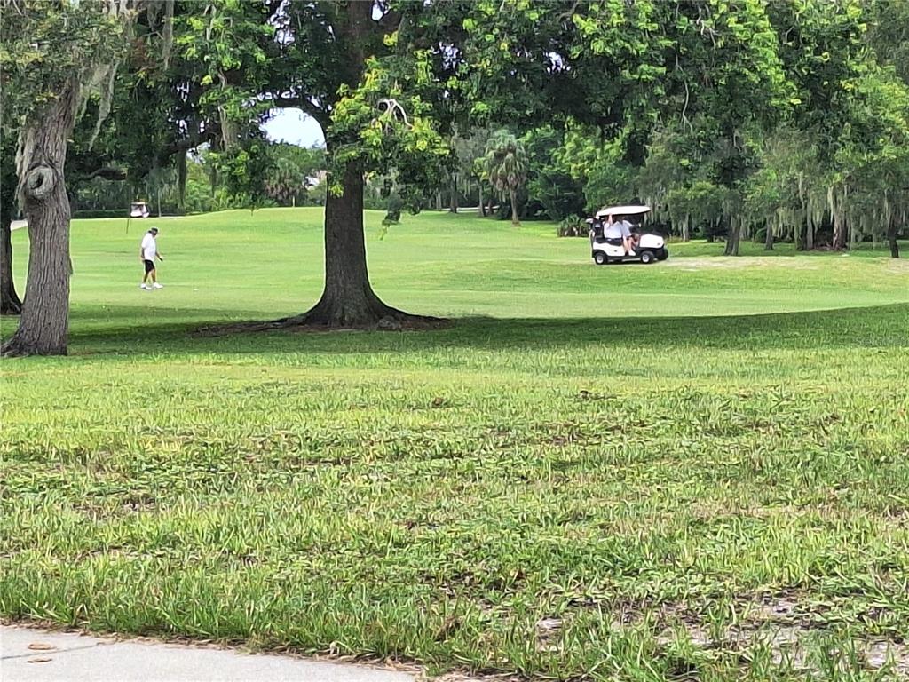 7519 Clanton Trail Hudson, FL 34667 - Photo 80 of 83 a view of a park with large trees