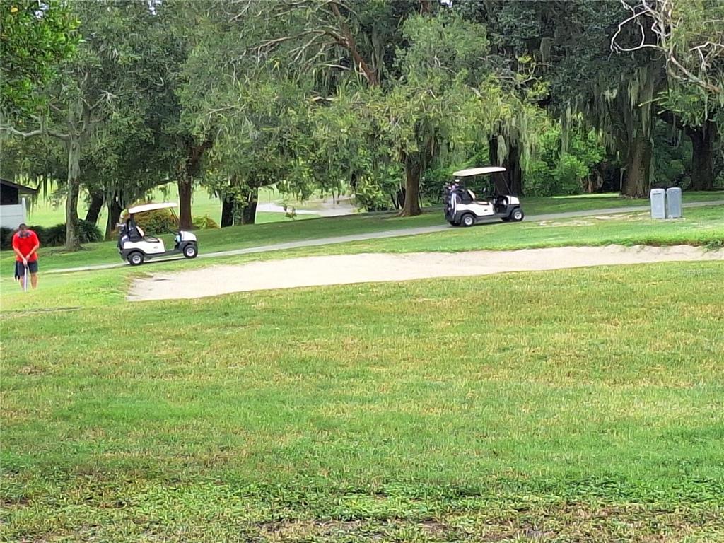 7519 Clanton Trail Hudson, FL 34667 - Photo 82 of 83 a view of a park with large trees