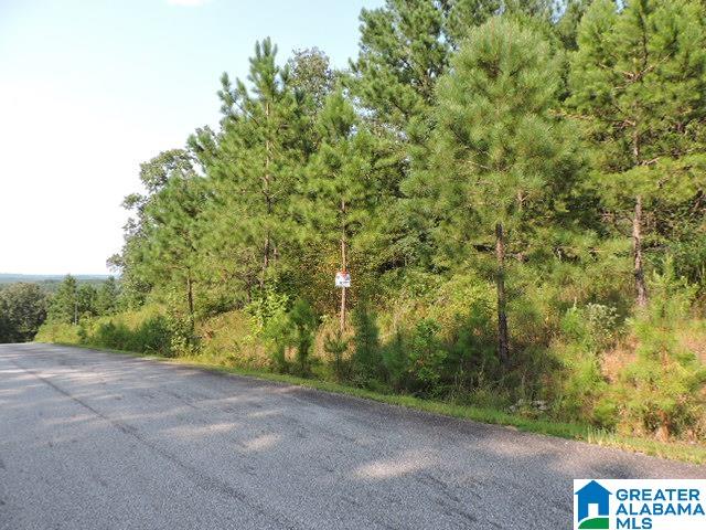 Brookwater Pointe, Unit 11 Wedowee, AL 36278 - Photo 5 of 8