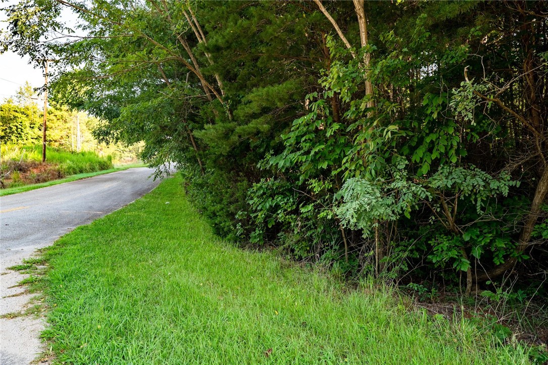 4 Bowen Hill Road Pelzer, SC 29669 - Photo 1 of 9