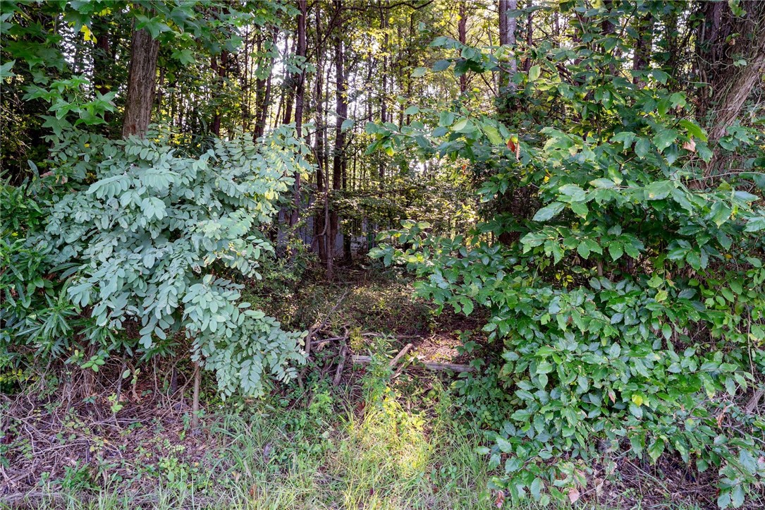 4 Bowen Hill Road Pelzer, SC 29669 - Photo 2 of 9