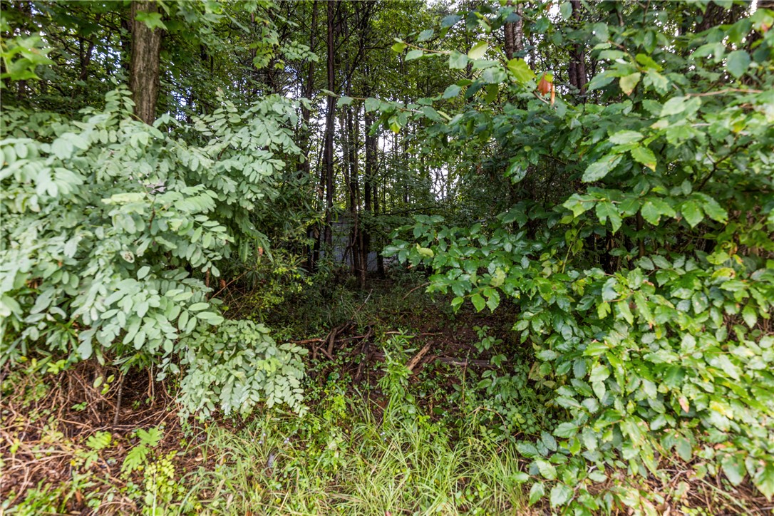 4 Bowen Hill Road Pelzer, SC 29669 - Photo 8 of 9
