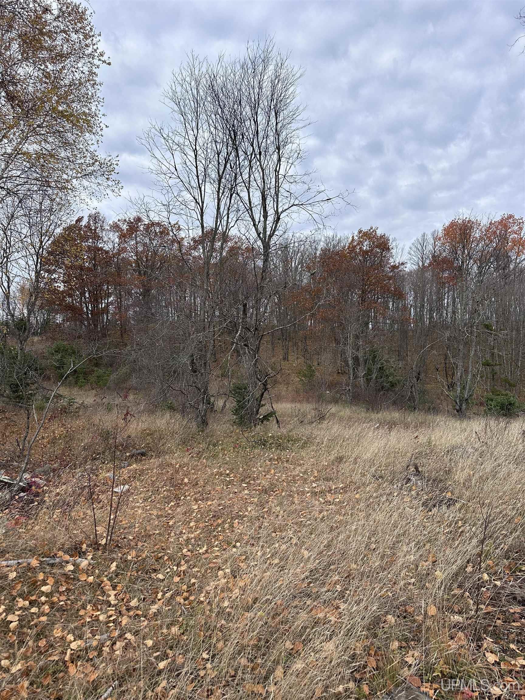 Tbd Co Rd 496 (b) Road, Unit PARCEL B Champion, MI 49814 - Photo 33 of 33