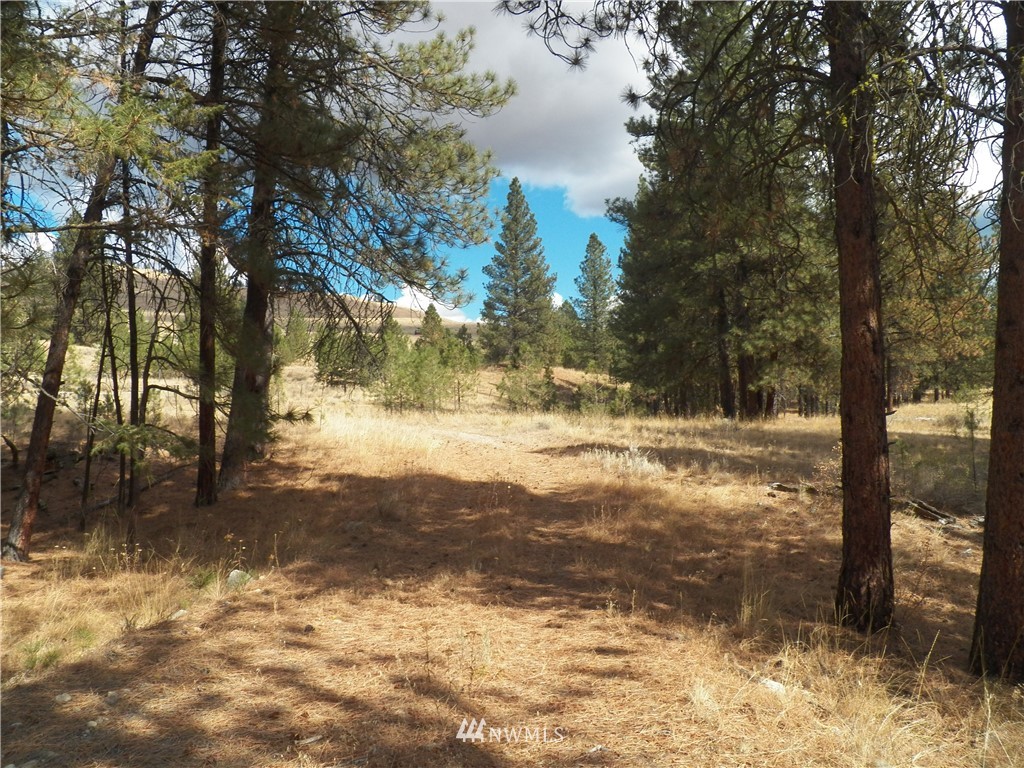 190 Cape Labelle Road Tonasket, WA 98855 - Photo 1 of 24