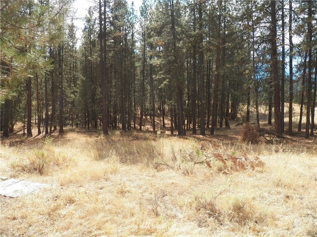 190 Cape Labelle Road Tonasket, WA 98855 - Photo 17 of 24