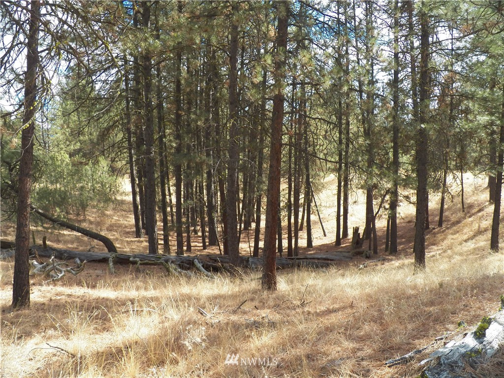 190 Cape Labelle Road Tonasket, WA 98855 - Photo 18 of 24