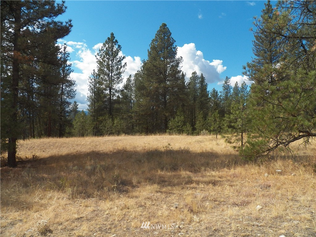 190 Cape Labelle Road Tonasket, WA 98855 - Photo 19 of 24