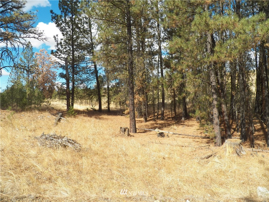 190 Cape Labelle Road Tonasket, WA 98855 - Photo 4 of 24