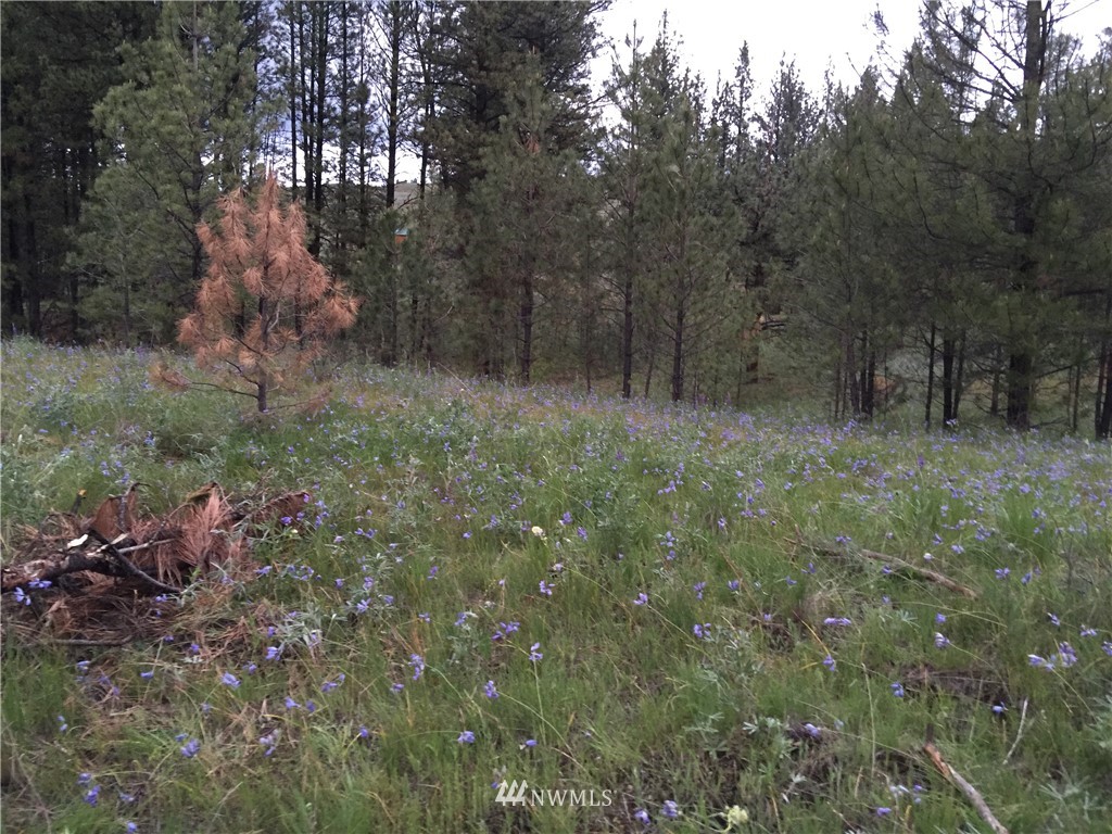 190 Cape Labelle Road Tonasket, WA 98855 - Photo 5 of 24