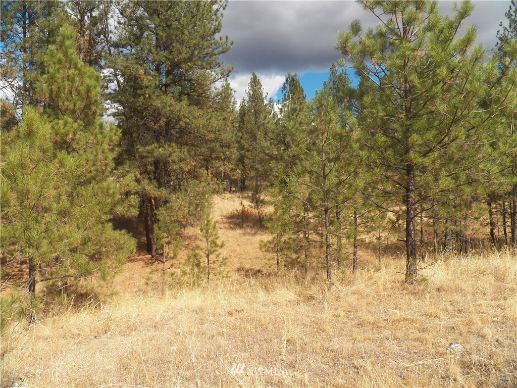 190 Cape Labelle Road Tonasket, WA 98855 - Photo 6 of 24