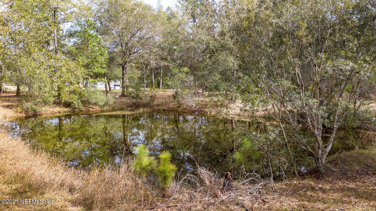 1460 Long Horn Road Middleburg, FL 32068 - Photo 28 of 32 Pond