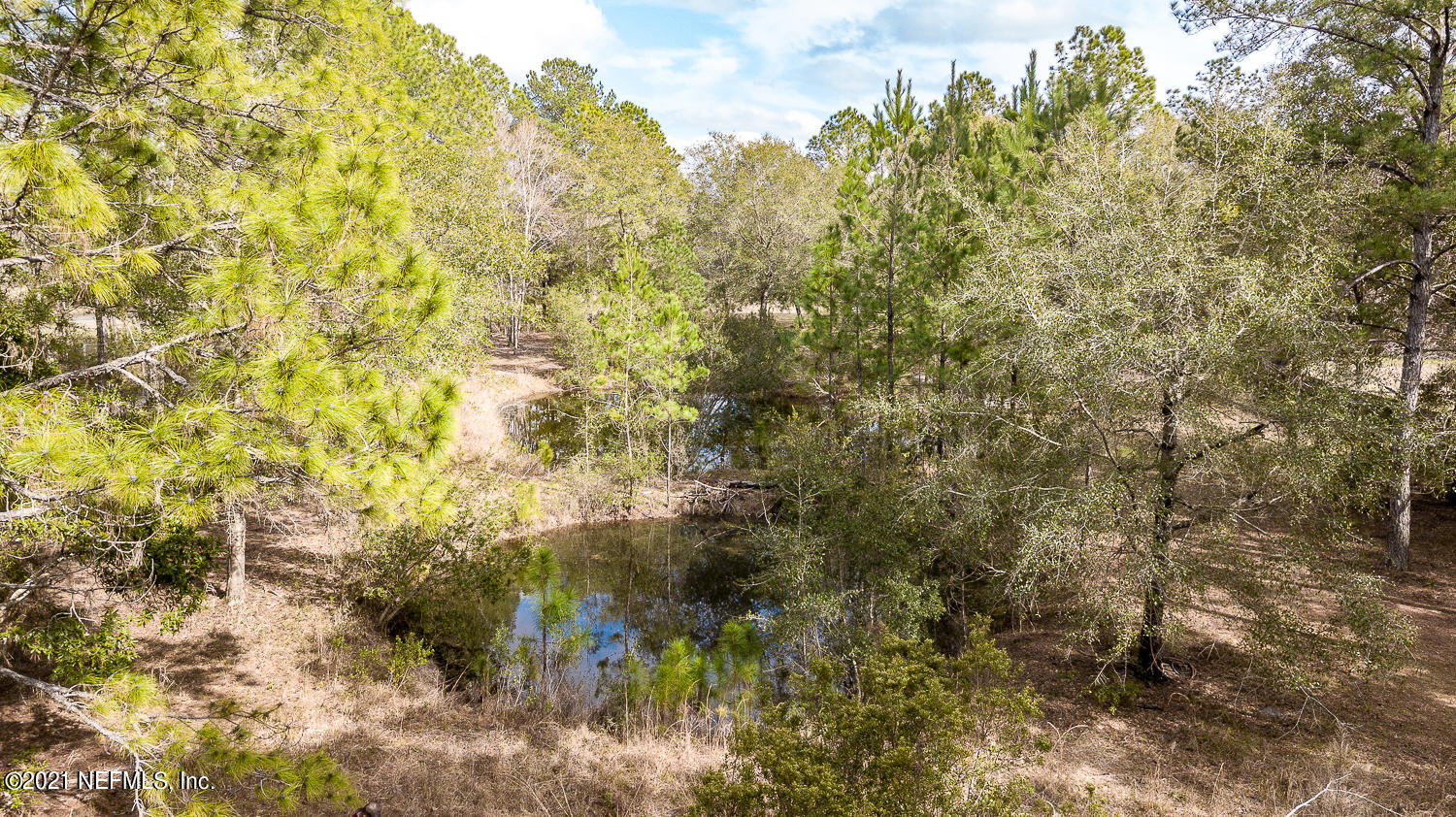 1460 Long Horn Road Middleburg, FL 32068 - Photo 30 of 32 EXT Pond 2