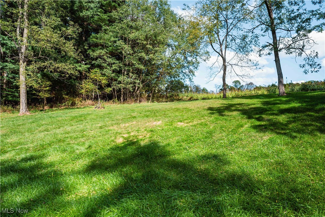 3261 Moffett Road Lucas, OH 44843 - Photo 20 of 40 View of grassy yard
