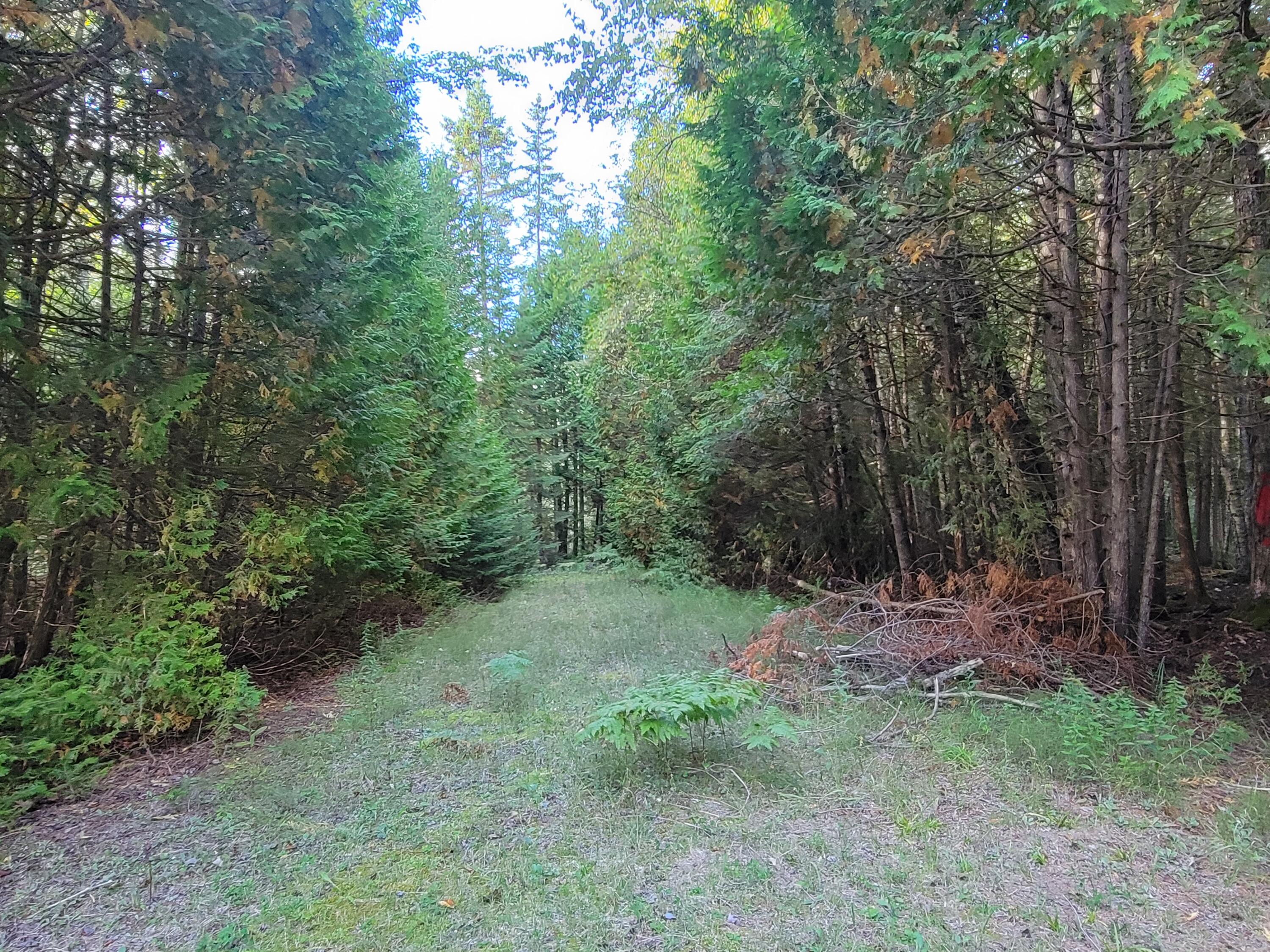 Lot 1 Brevort Camp Road Moran, MI 49760 - Photo 27 of 66 Gallery Image 27
