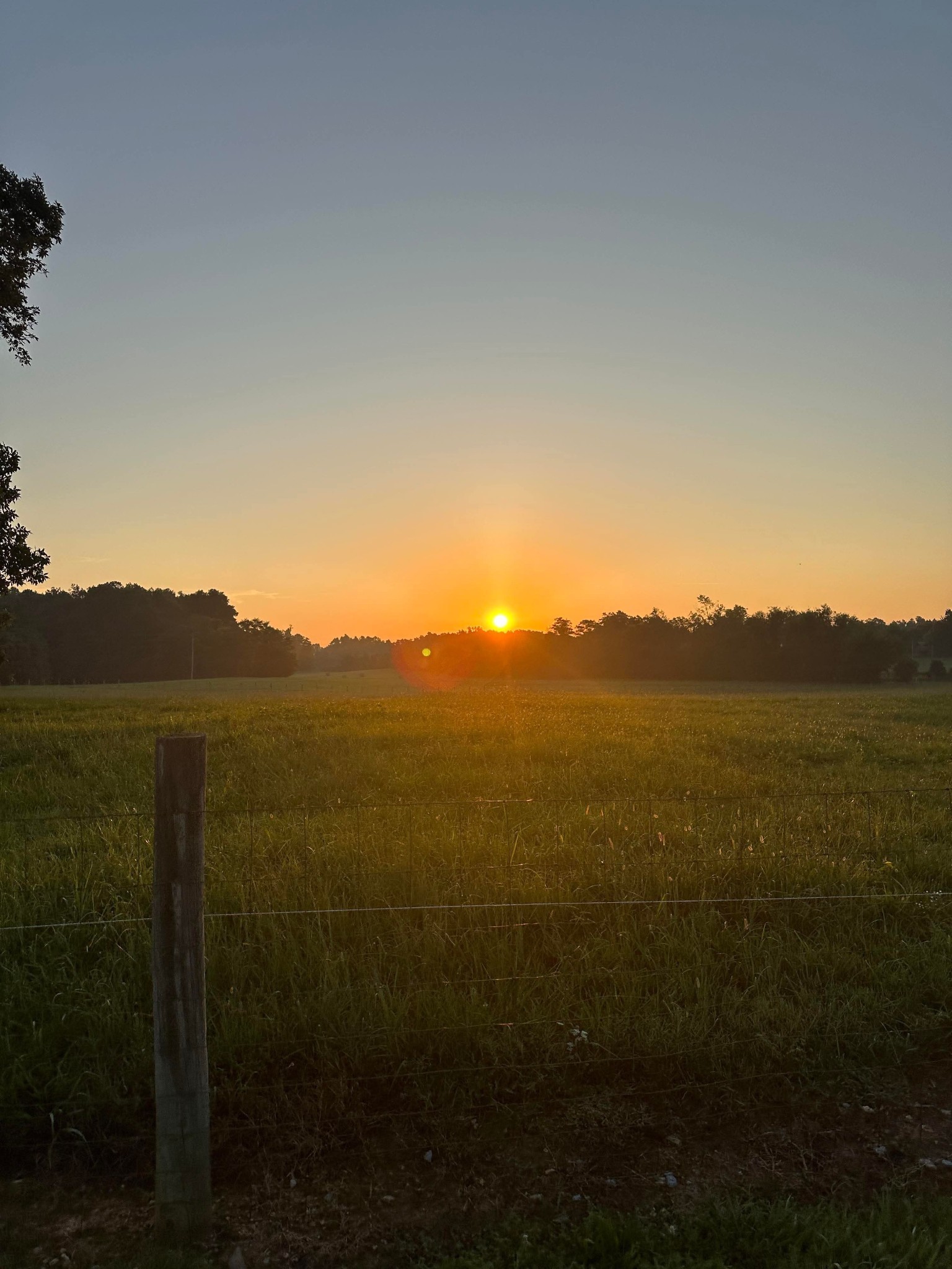 a view of a mountain