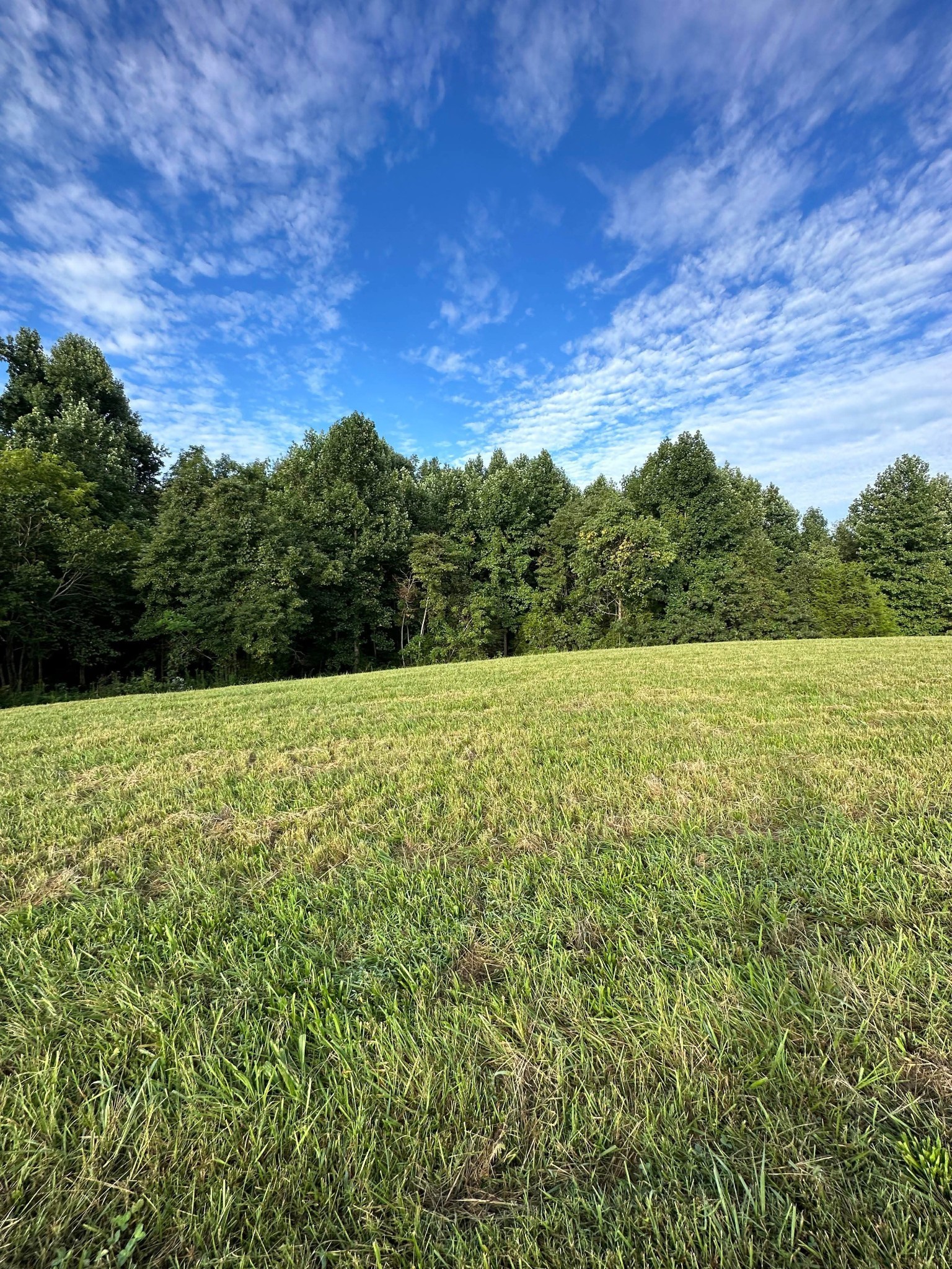 0 Knob Creek Road Wartrace, TN 37183 - Photo 14 of 22 a view of a field with an outdoor space