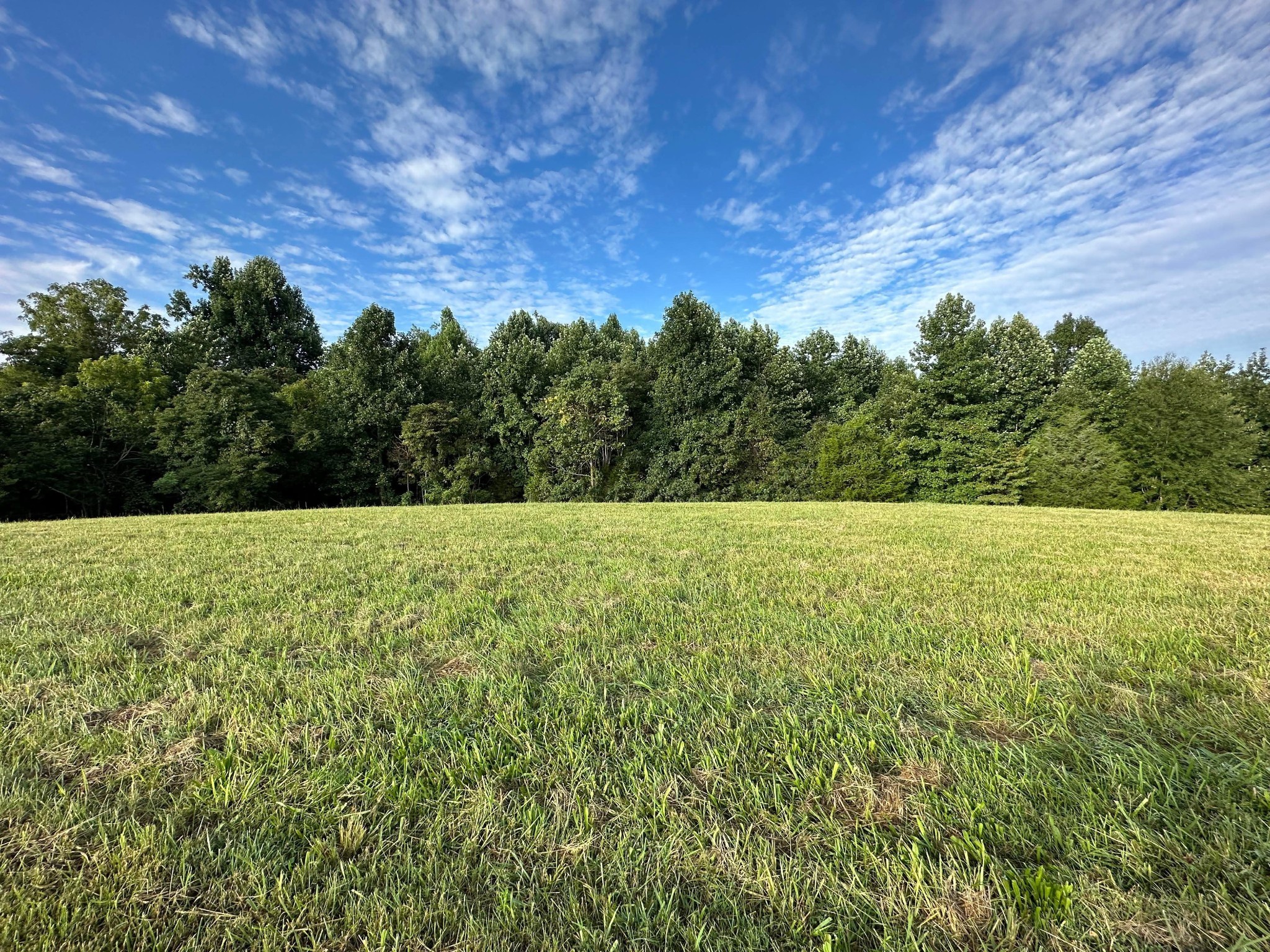 0 Knob Creek Road Wartrace, TN 37183 - Photo 17 of 22 a view of a field with an outdoor space