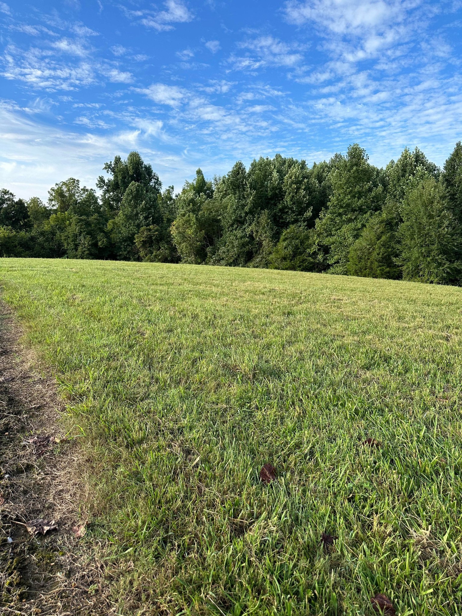 0 Knob Creek Road Wartrace, TN 37183 - Photo 18 of 22 a view of a field of grass and trees