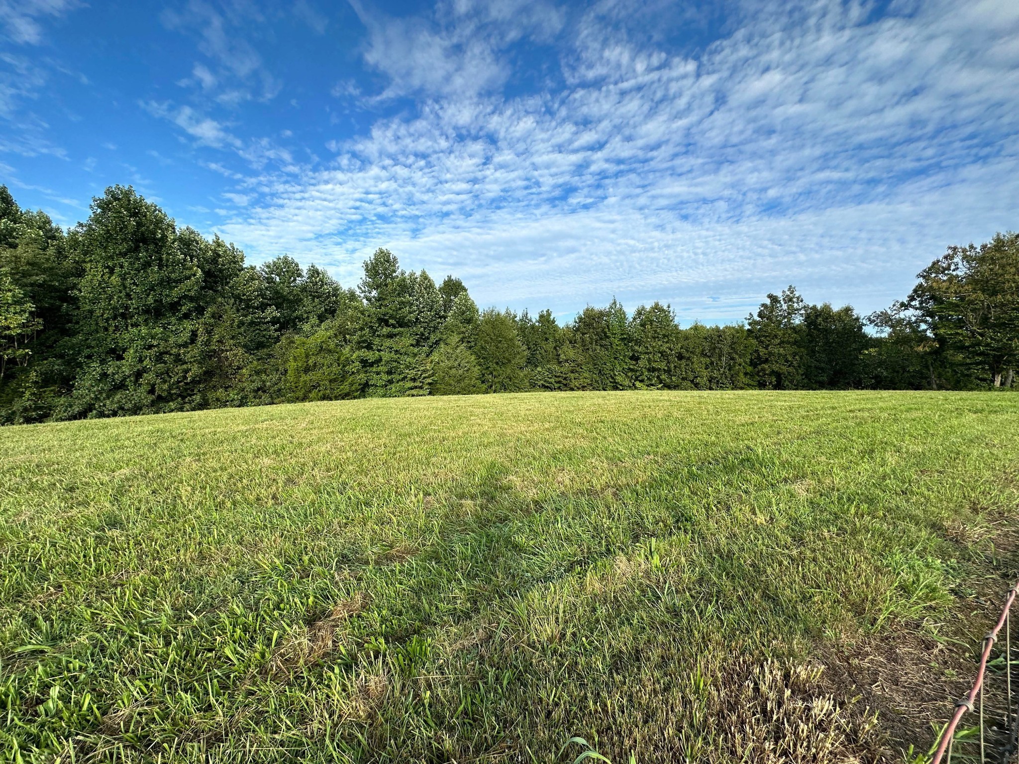 0 Knob Creek Road Wartrace, TN 37183 - Photo 2 of 22 a view of a field with an trees in the background