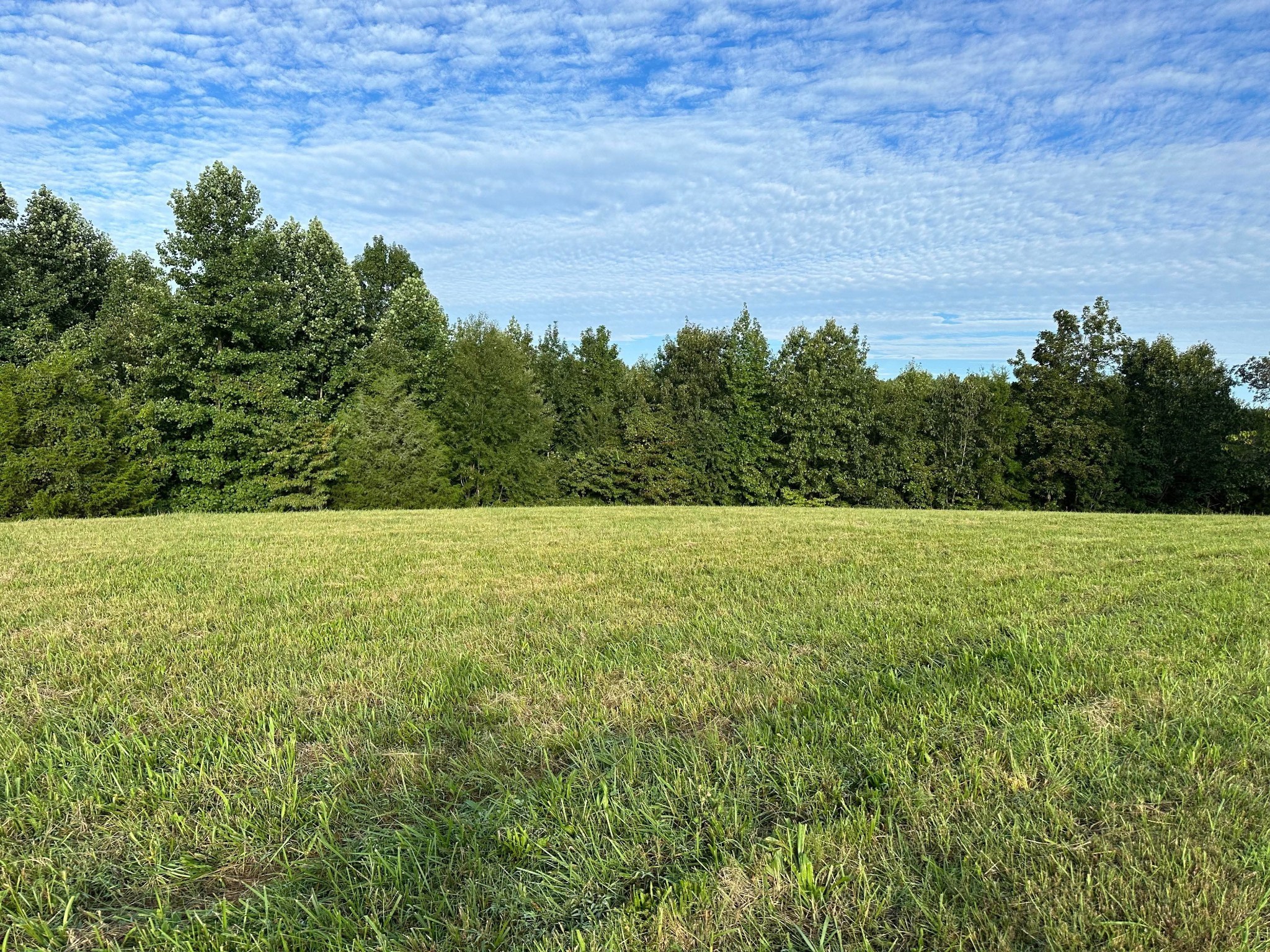0 Knob Creek Road Wartrace, TN 37183 - Photo 4 of 22 a view of a field with an outdoor space