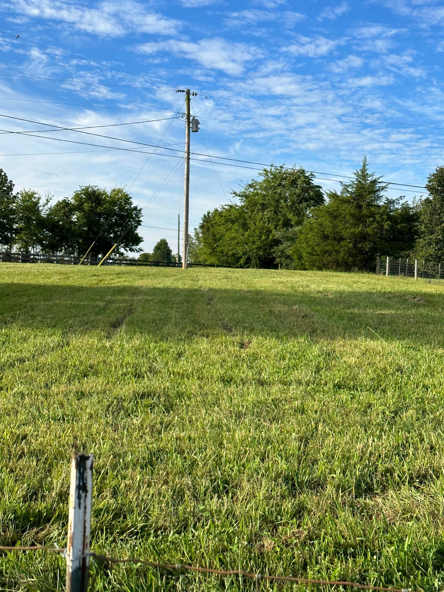 0 Knob Creek Road Wartrace, TN 37183 - Photo 6 of 22 a view of a garden with an outdoor space