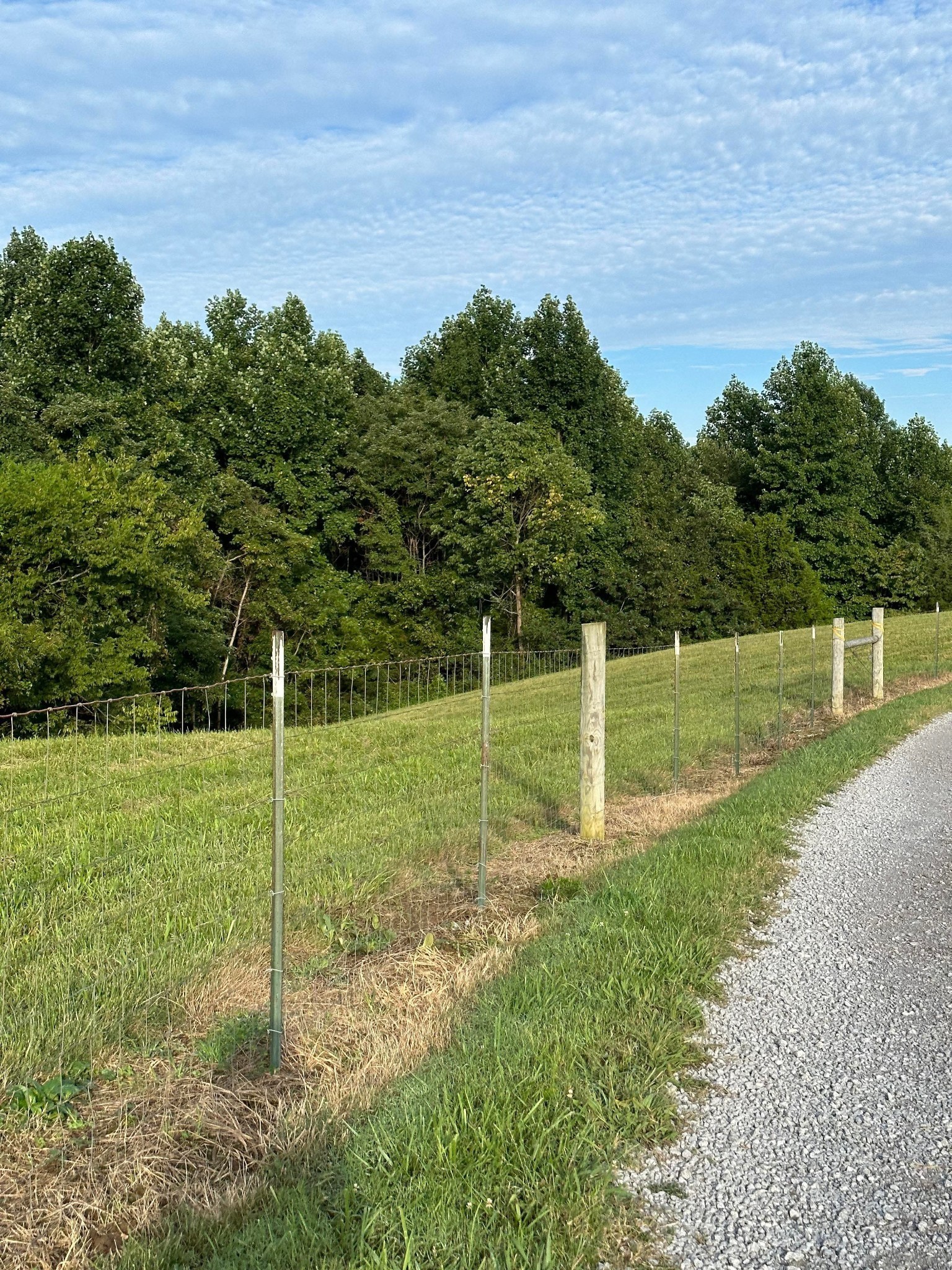 0 Knob Creek Road Wartrace, TN 37183 - Photo 10 of 22 a view of a park