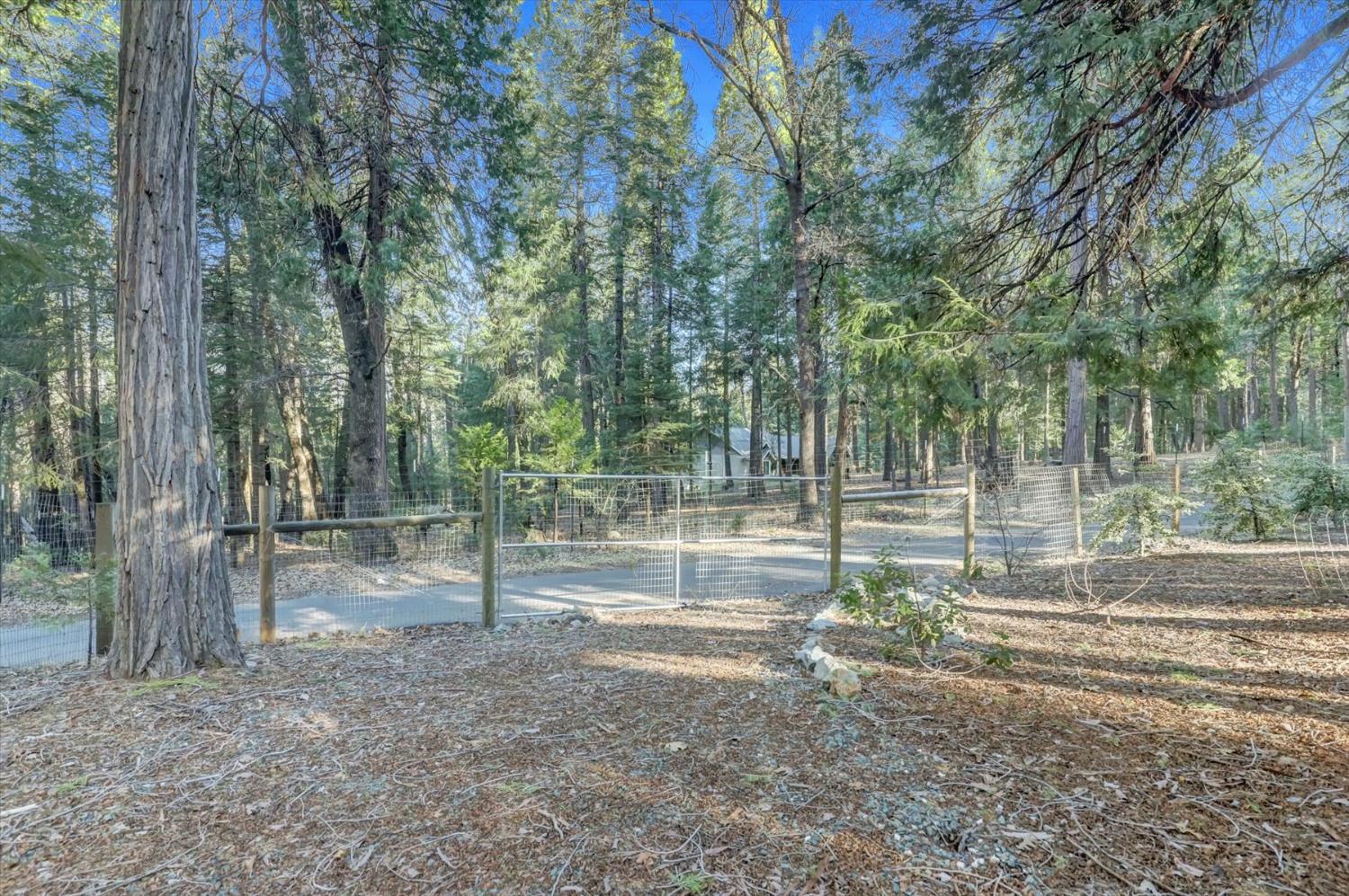 13202 Quaker Hill Cross Road Nevada City, CA 95959 - Photo 71 of 85