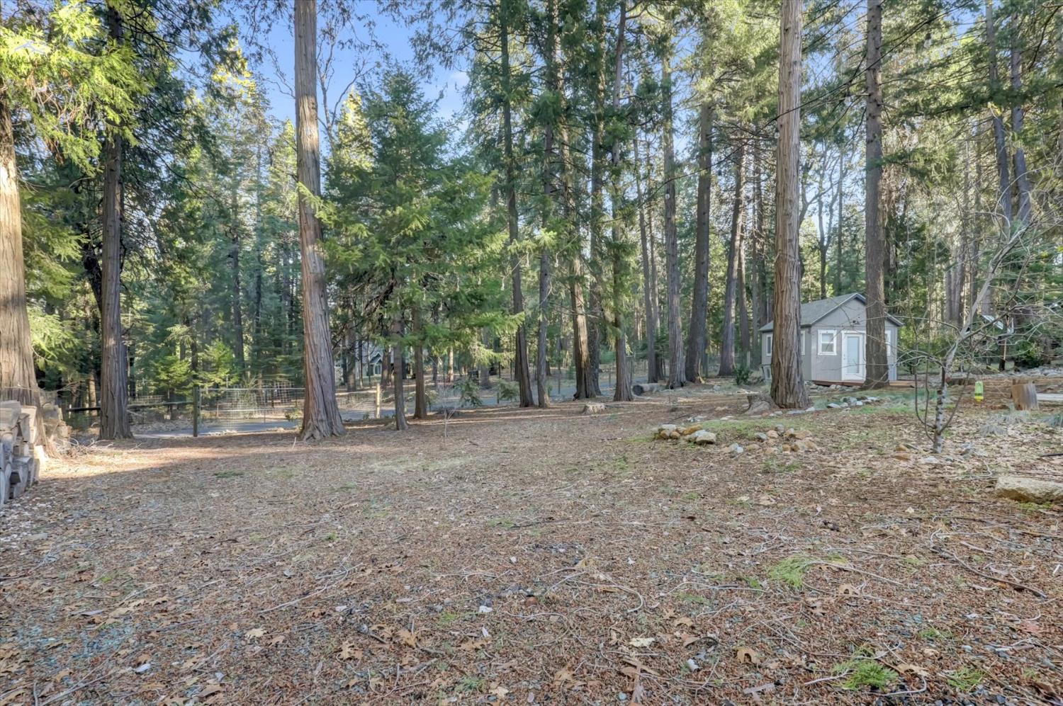 13202 Quaker Hill Cross Road Nevada City, CA 95959 - Photo 72 of 85