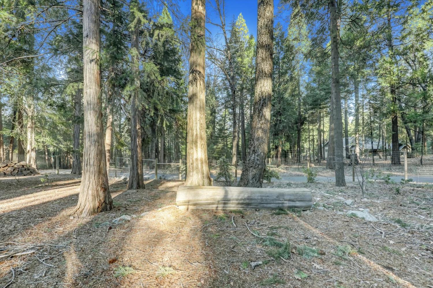 13202 Quaker Hill Cross Road Nevada City, CA 95959 - Photo 76 of 85