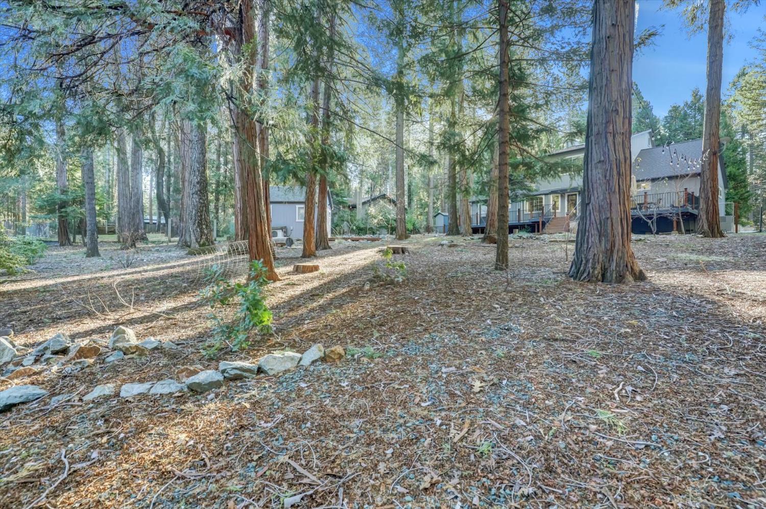 13202 Quaker Hill Cross Road Nevada City, CA 95959 - Photo 77 of 85