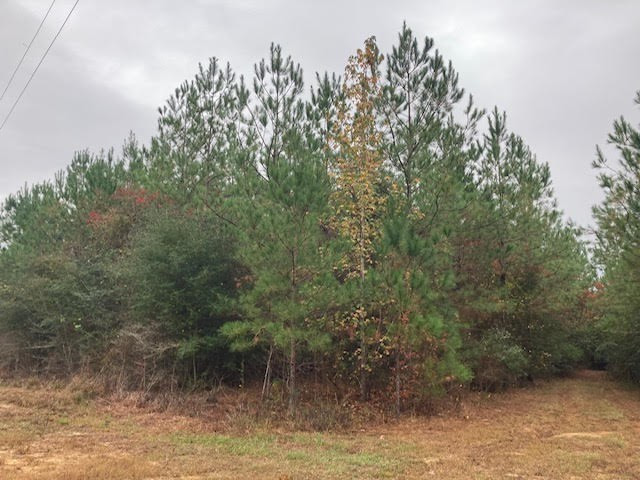 0 East Lewiston Road Kentwood, LA 70444 - Photo 13 of 26 Photo 14