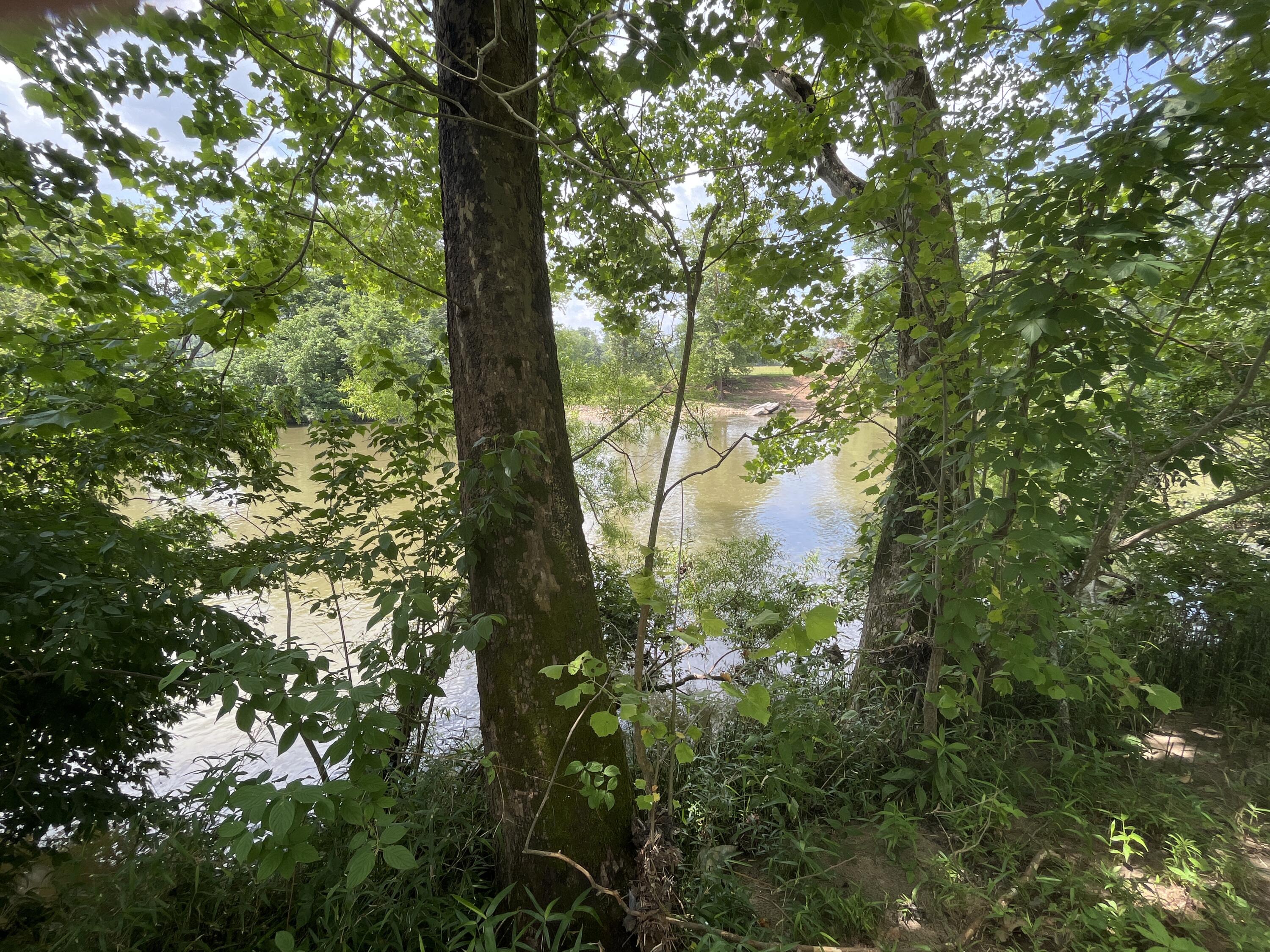 Tbd Ray Peterson Road, Unit 9 Limestone, TN 37681 - Photo 2 of 8 image